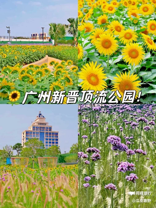 海贝公园 - 广州市旅游