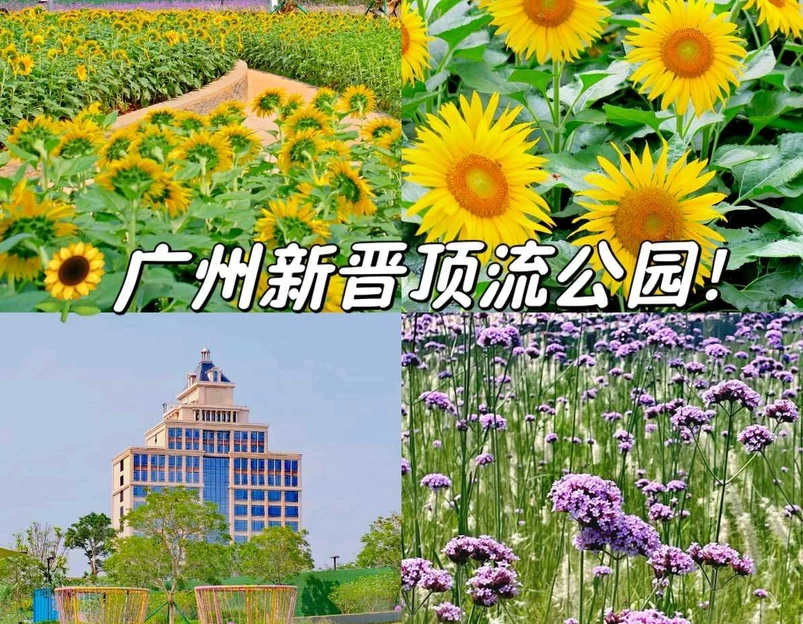 海贝公园 - 广州市旅游 1