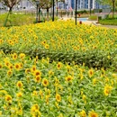海贝公园 - 广州市旅游 缩略图 5