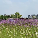 海贝公园 - 广州市旅游 缩略图 7