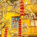 柳浪闻莺 - 杭州旅游 缩略图 6