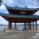 柳浪闻莺 - 杭州旅游 缩略图 3