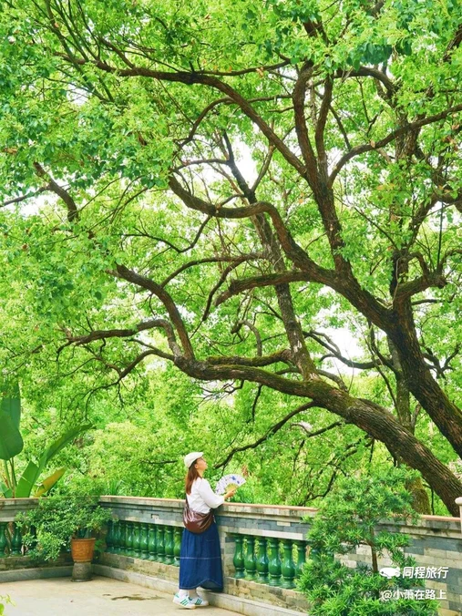 广州神农草堂中医药博物馆 - 广州市旅游
