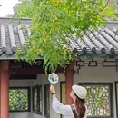 广州神农草堂中医药博物馆 - 广州市旅游 缩略图 5