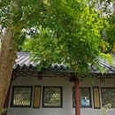 广州神农草堂中医药博物馆 - 广州市旅游 缩略图 6