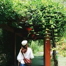 广州神农草堂中医药博物馆 - 广州市旅游 缩略图 9