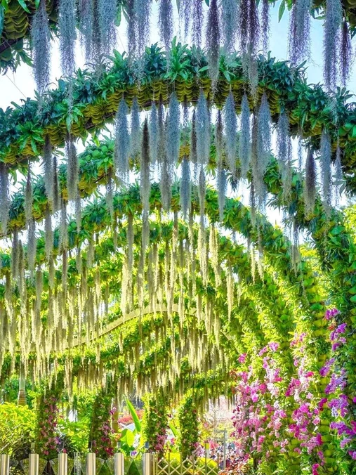 云萝植物园 - 广州市旅游