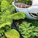 云萝植物园 - 广州市旅游 缩略图 4