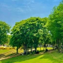 麓客岛游客中心 - 成都市旅游 缩略图 3