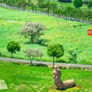 南京高淳国际慢城 - 南京市旅游 缩略图 4