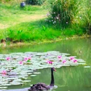 钟山风景名胜区明孝陵景区-3号门 - 南京市旅游 缩略图 1