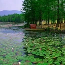 钟山风景名胜区明孝陵景区-3号门 - 南京市旅游 缩略图 9