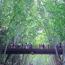 钟山风景名胜区明孝陵景区-3号门 - 南京市旅游 缩略图 4