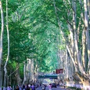 钟山风景名胜区明孝陵景区-3号门 - 南京市旅游 缩略图 3