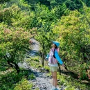 昌平公园 - 北京市旅游 缩略图 2