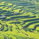 鲁迅故里景区游客中心 - 绍兴市旅游 缩略图 9