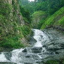 鲁迅故里-百草园 - 绍兴市旅游 缩略图 7