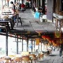 鲁迅故里-百草园 - 绍兴市旅游 缩略图 5