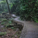 鲁迅故里-百草园 - 绍兴市旅游 缩略图 4