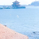 栈桥景区 - 青岛市旅游 缩略图 2
