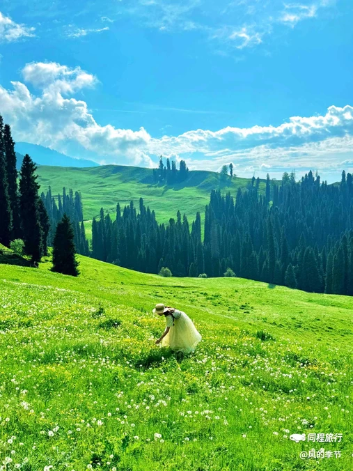 游牧人家南侧地上停车场-西出入口 - 伊犁哈萨克自治州旅游