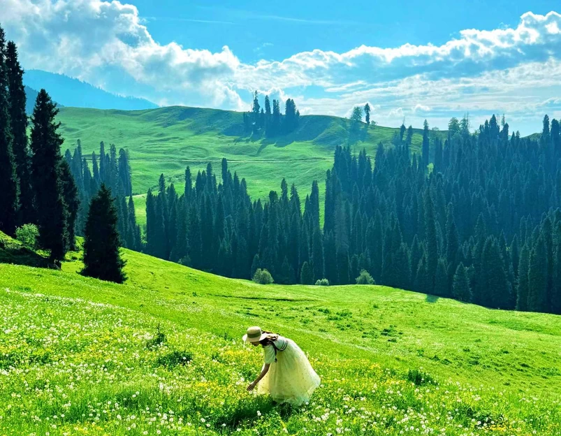 游牧人家南侧地上停车场-西出入口 - 伊犁哈萨克自治州旅游 1