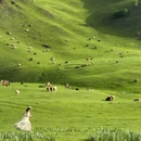 游牧人家南侧地上停车场-西出入口 - 伊犁哈萨克自治州旅游 缩略图 7
