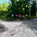 漆树堂 - 重庆市旅游 缩略图 5