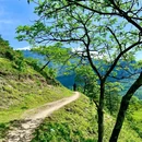 漆树堂 - 重庆市旅游 缩略图 1