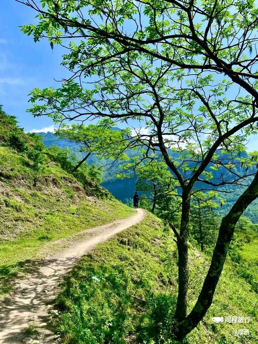 漆树堂 - 重庆市旅游