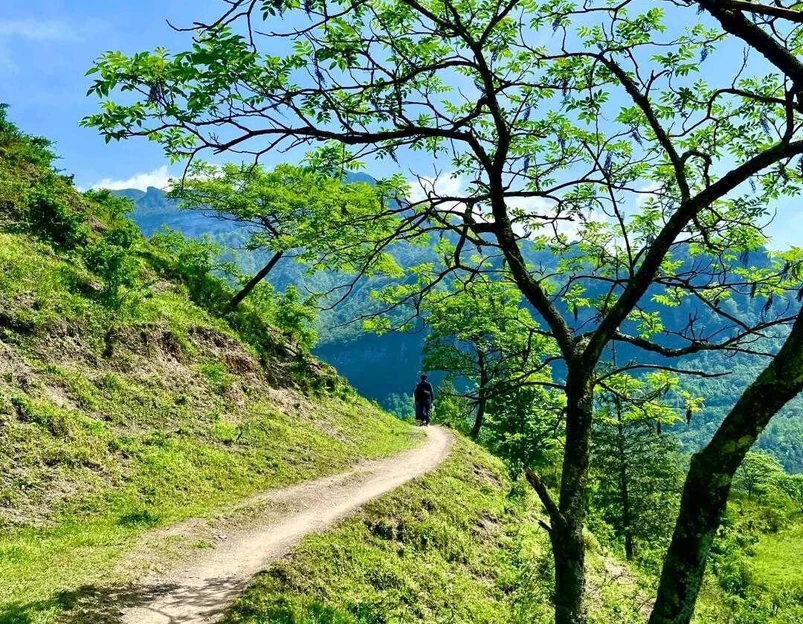 漆树堂 - 重庆市旅游 1