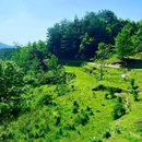 漆树堂 - 重庆市旅游 缩略图 3