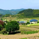 漆树堂 - 重庆市旅游 缩略图 7