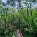 巴南区南温泉旅游发展服务中心 - 重庆市旅游 缩略图 1