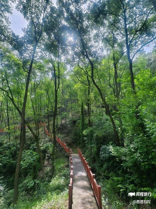 巴南区南温泉旅游发展服务中心 - 重庆市旅游