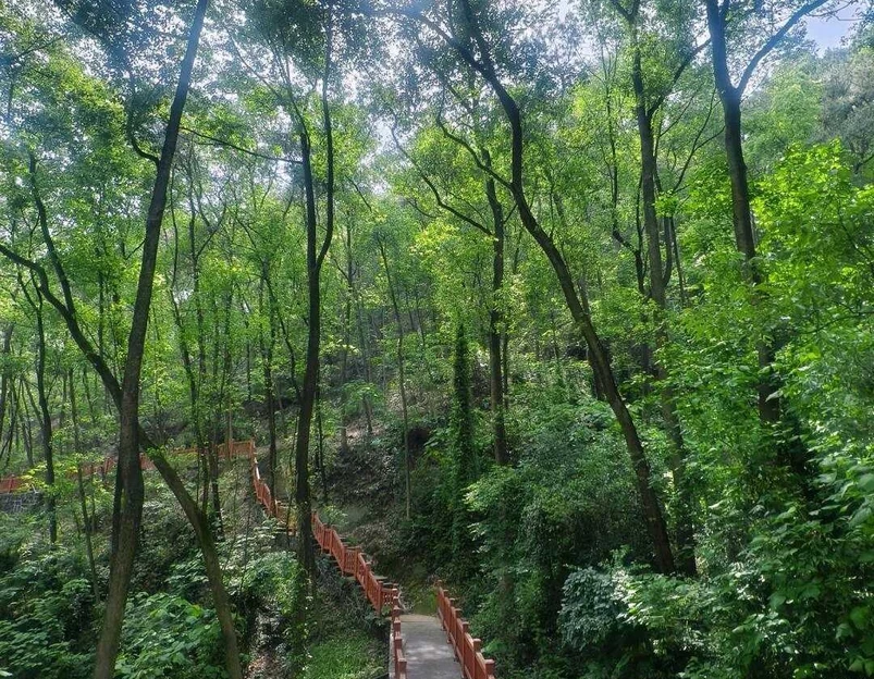 巴南区南温泉旅游发展服务中心 - 重庆市旅游 1