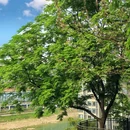 曾家岩临崖步道 - 重庆市旅游 缩略图 4