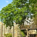 曾家岩临崖步道 - 重庆市旅游 缩略图 7