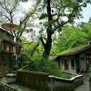 金刚碑·温泉老村 - 重庆市旅游 缩略图 3