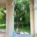 常青人才公园 - 武汉市旅游 缩略图 1