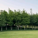 常青人才公园 - 武汉市旅游 缩略图 7