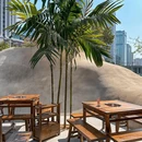 十全功夫自选小碗菜老火锅(深圳文和友总店) - 深圳市旅游 缩略图 8