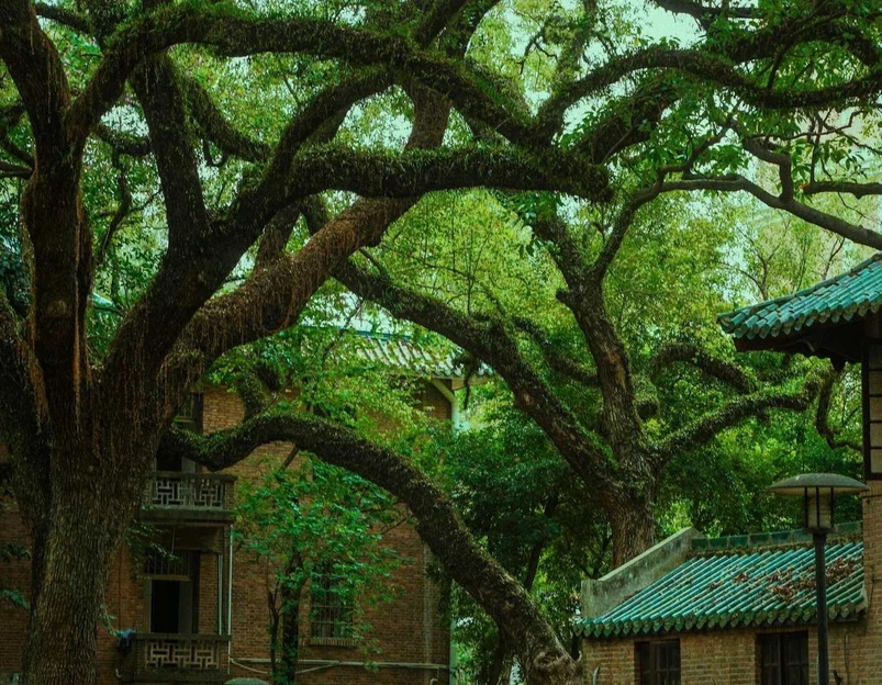 中山大学(广州校区南校园)北门广场 - 广州市旅游 1