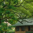 中山大学(广州校区南校园)北门广场 - 广州市旅游 缩略图 5