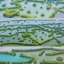 三山岛景区 - 苏州旅游 缩略图 4