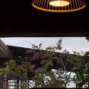 金香顿悦庭高空无边泳池全景花园酒店(西双版纳嘎洒国际机场店) - 西双版纳傣族自治州旅游 缩略图 4