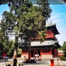 正定隆兴寺 - 石家庄市旅游 缩略图 1