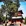 石家庄市·正定隆兴寺