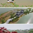 知识城东湖 - 广州市旅游 缩略图 3