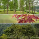 知识城东湖 - 广州市旅游 缩略图 4